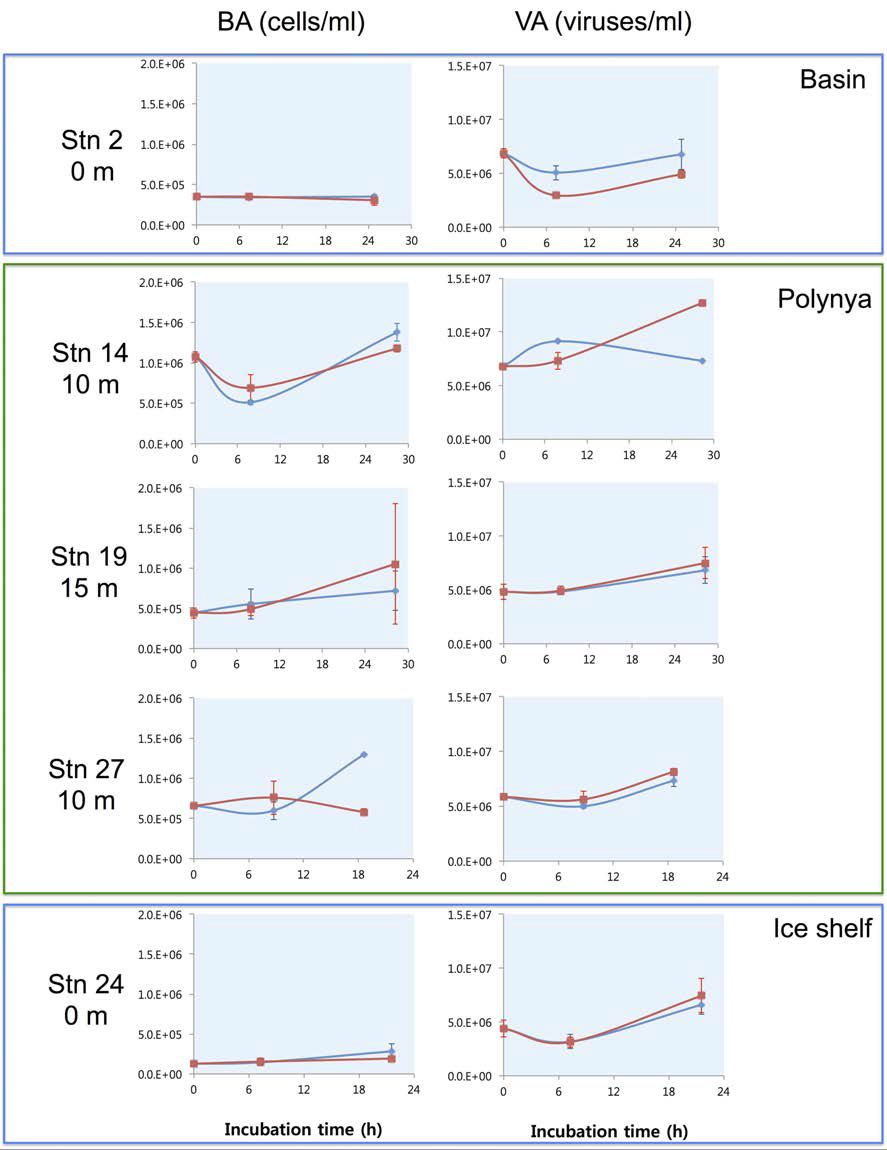 Changes of bacterial (BA) and viral abundances (VA) over the incubation time in lysogeny induction experiments