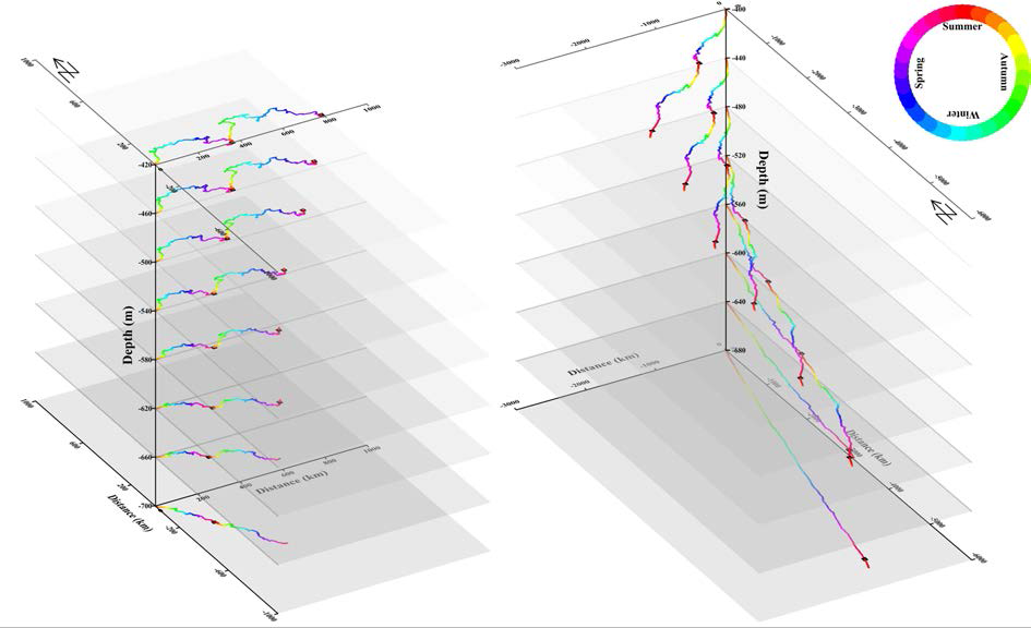 Progressive vector of two moorings (K4, K5) from January, 2014 to January, 2016.