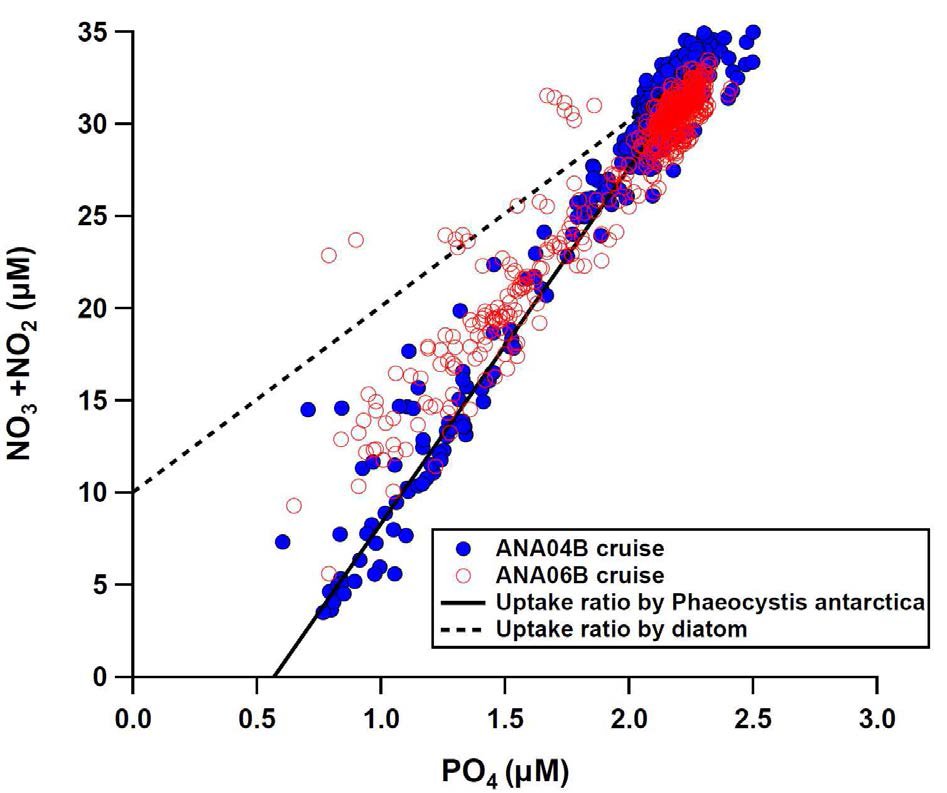 Plot of nitrate concentration versus phosphate concentration measured in the Amundsen Sea during ANA04B and ANA06B cruises