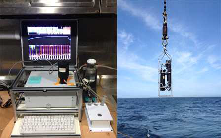 Fluorescence Induction and Relaxation Systems (FIRe) on board and in-situ profiling type.