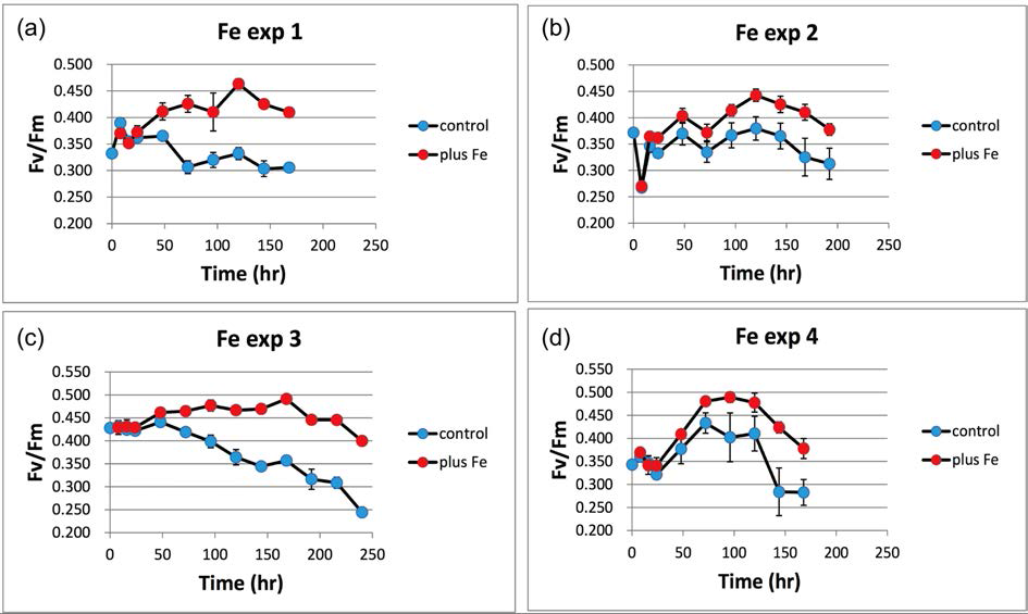 Temporal evolution of photosynthetic efficiencies (Fv/Fm) at four iron assimilation stations of the Amundsen Sea during 2013/2014 cruise