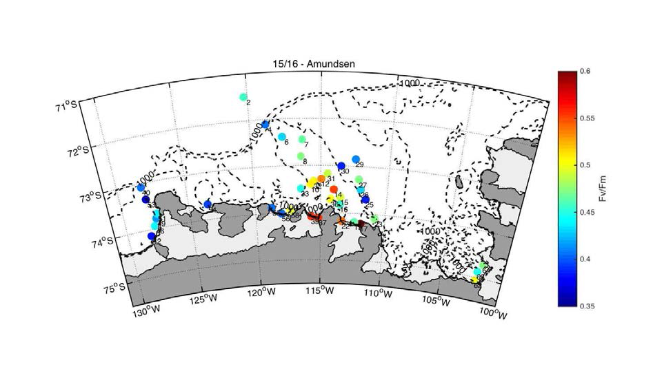 Surface distribution of maximum photosynthetic quantum efficiencies (Fv/Fm) in the Amundsen Sea in 2015/2016.