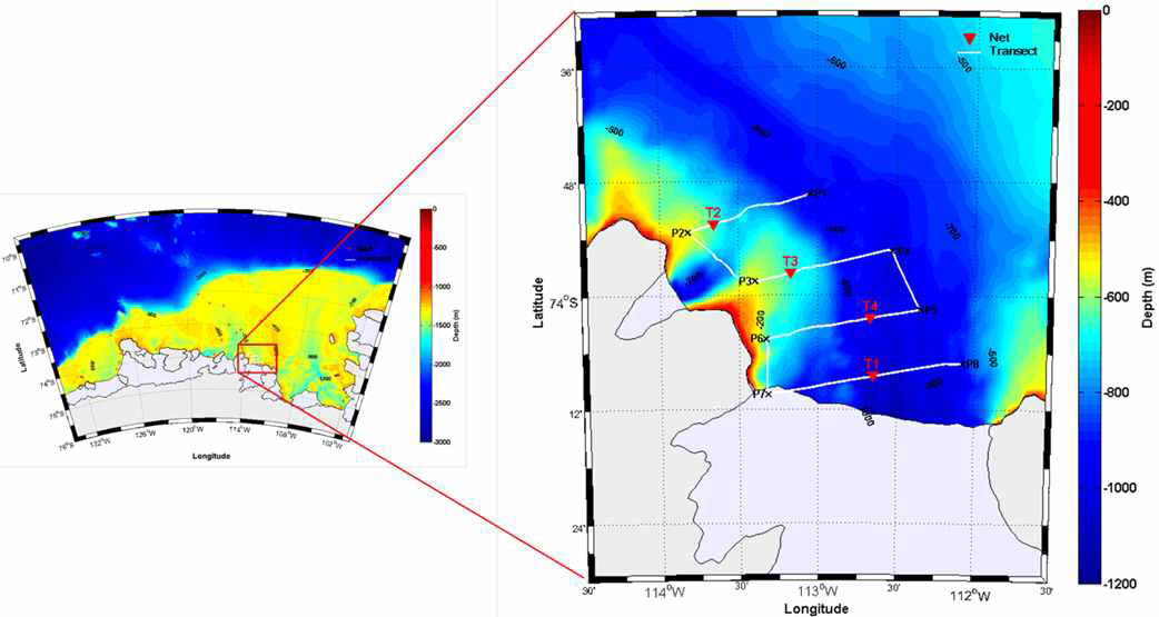 Study area on the bathymetry of the Amundsen Sea showing acoustic transect (white line), CTD (red cross), and net (red triangle) stations during 2016.