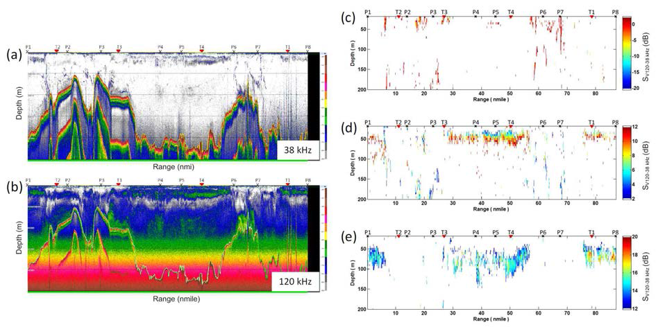 Volume backscattering strengths (SV) echograms at 38 (a) and 120 kHz (b) for the top 200 m of water column in the acoustic transect.