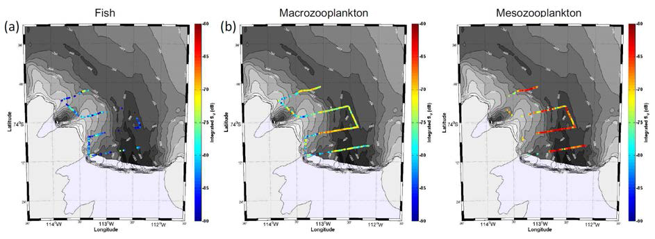 Spatial distribution of the integrated volume backsattering strengths (Integrated SV) on the bathymetry