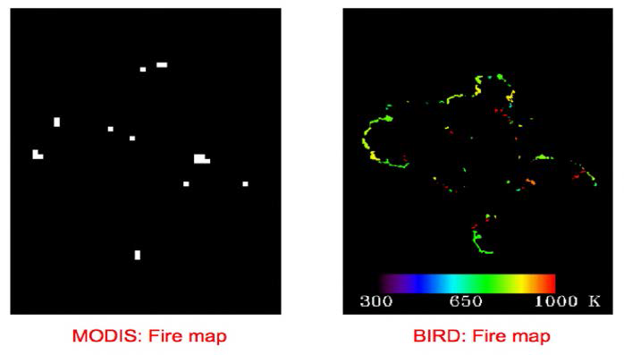 MODIS, BIRD 산불 데이터 비교