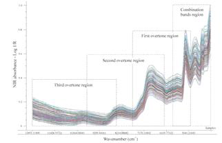 FT–NIR의 스펙트럼