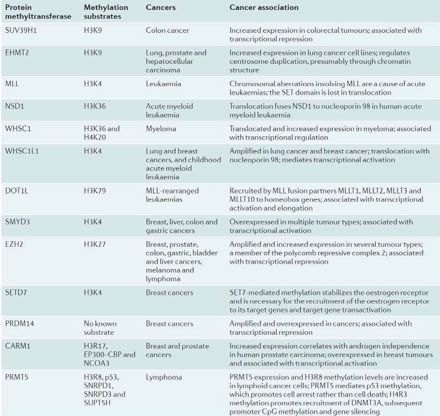 암과 관련된 히스톤 메틸화 효소들