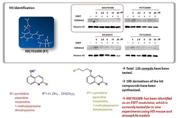 Identification & Synthesis