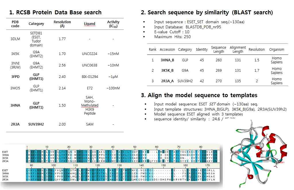 Modeling of human ESET(SETDB1)