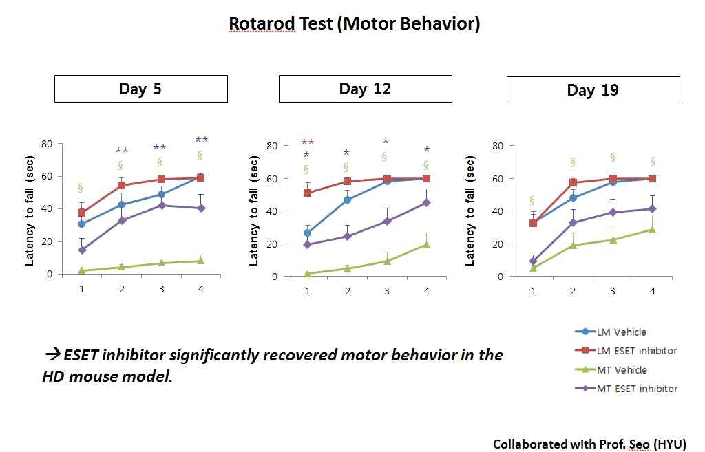 vivo experiment - Rotarod Test 결과 (Motor Behavior)