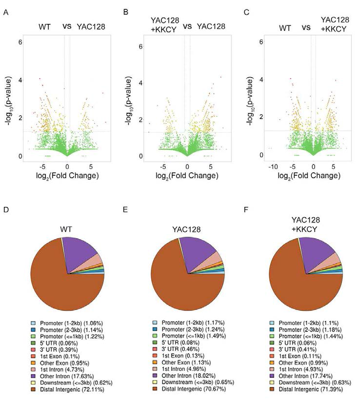 ChIP-sequencing analysis in WT, YAC128, and YAC128+KKCY01009 mice