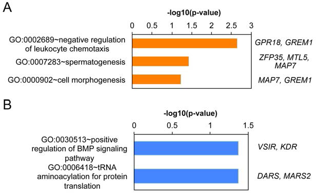 ChIP-sequencing identified epigenomes that are modulated by KKCY01009 in YAC128 mice