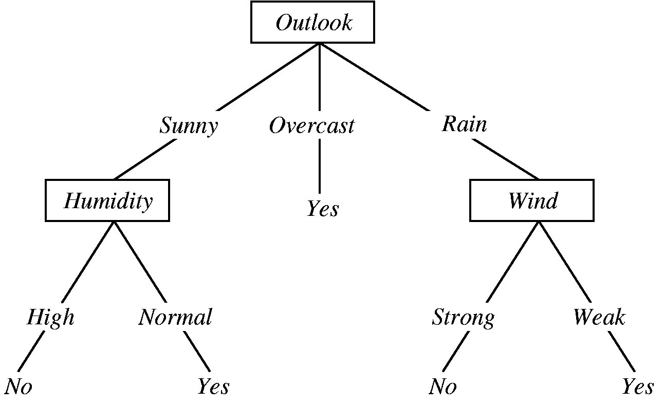 Decision Tree의 예시