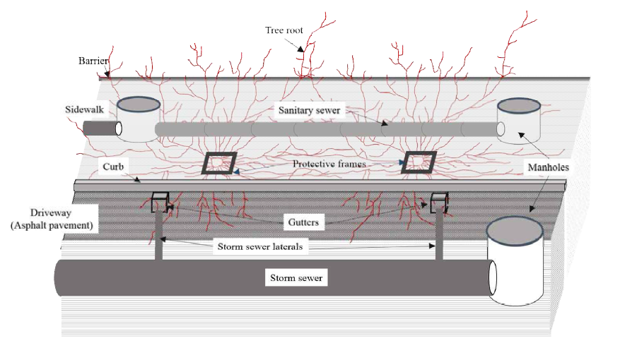 하수관 시스템과 나무뿌리의 침입