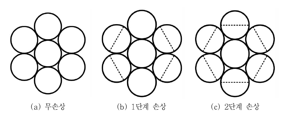 강연선 손상 단계