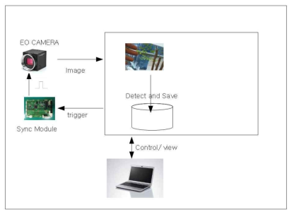 EO Image 처리