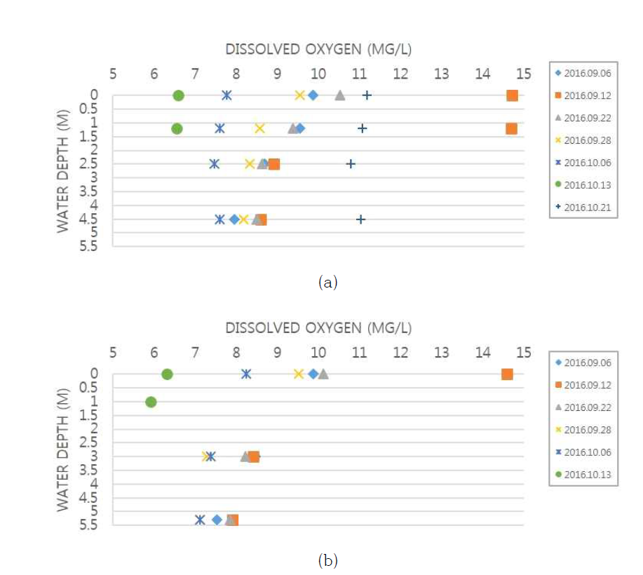 물 순환 장치 가동에 따른 수심 별 DO 변화