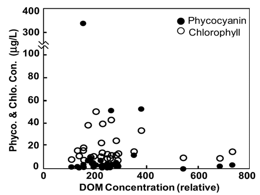 피코시아닌과 클로로필 및 용존유기물의 관계