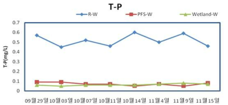 장치형 시설 연계형 인공습지의 TP 제거 효율