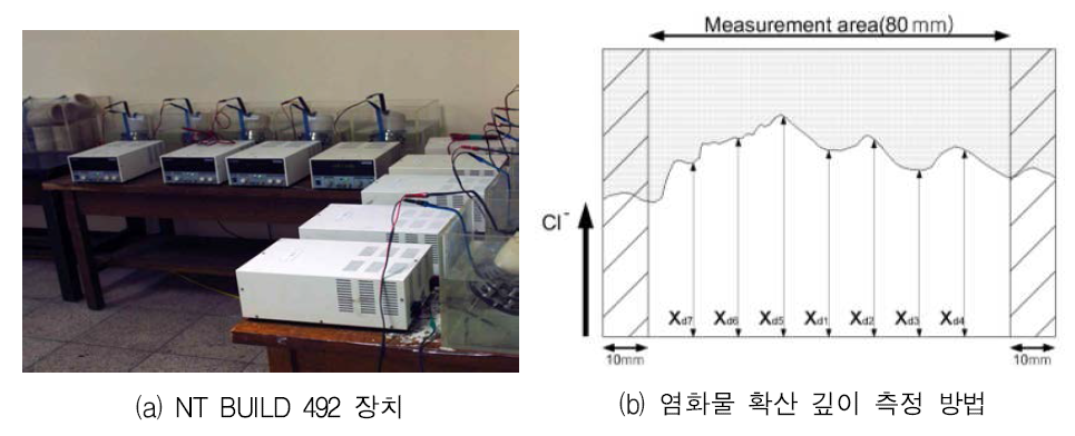 염화물 확산 시험장치 및 측정 방법