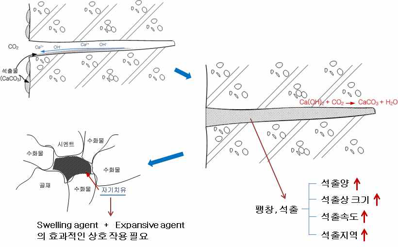콘크리트 발생 균열의 자기치유 모식도