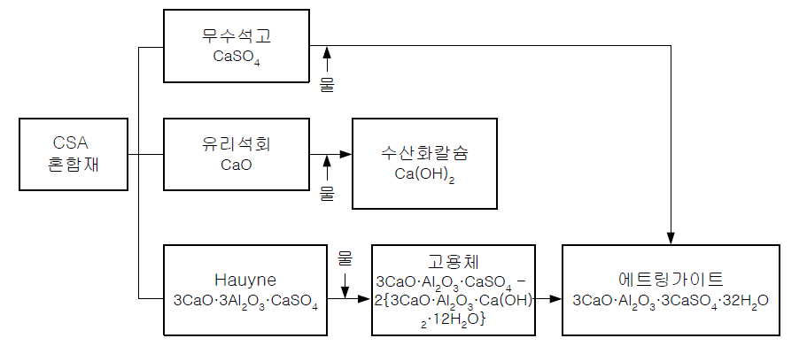 CSA의 수화반응