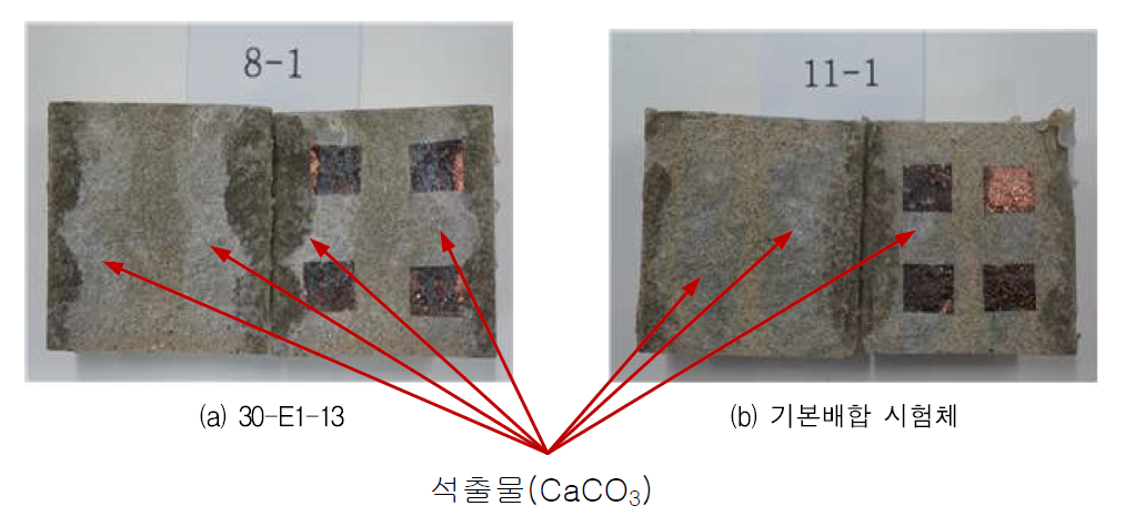 투수시험 완료 후 시험체 단면