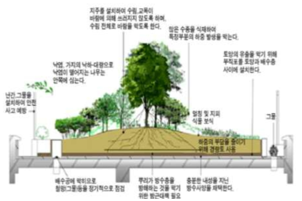 인공지반 상부 식재조성 시 고려요소