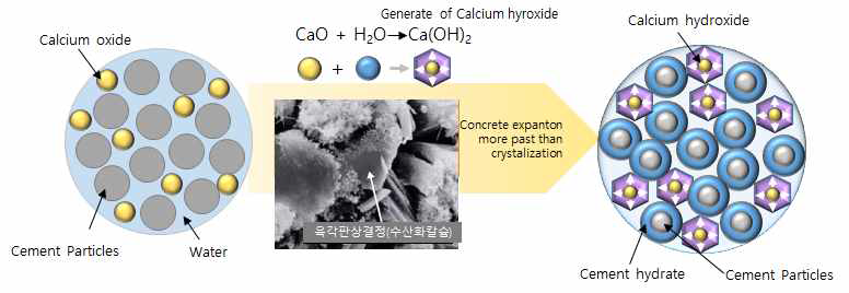 CaO계 팽창재의 수화메커니즘