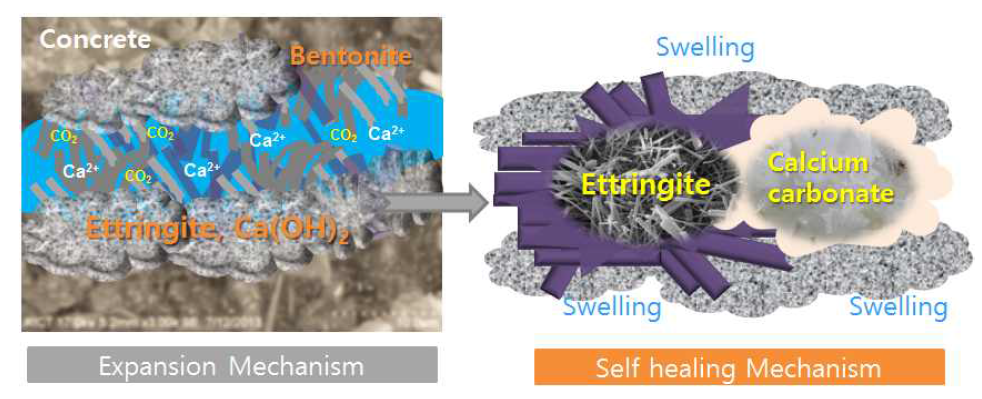 자기치유 혼화제의 팽윤작용에 의한 자기치유 성능발현 메커니즘