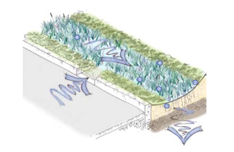 Stormwater Bioretentions 모식도