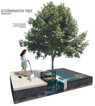 Stormwater Tree의 3차원 모식도