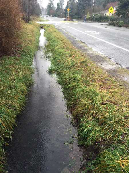 10th Avenue NE 서쪽과 NE 170th Street 남쪽 경계 따라 조성된 back-watered ditch