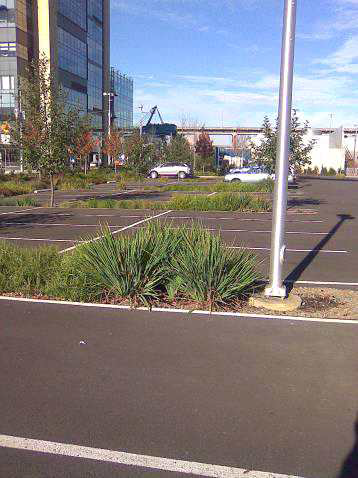 Bioretention Cells in Car Park – No Kerbs or Gullies