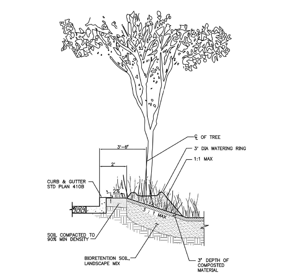 Tree planting within bioretention swale