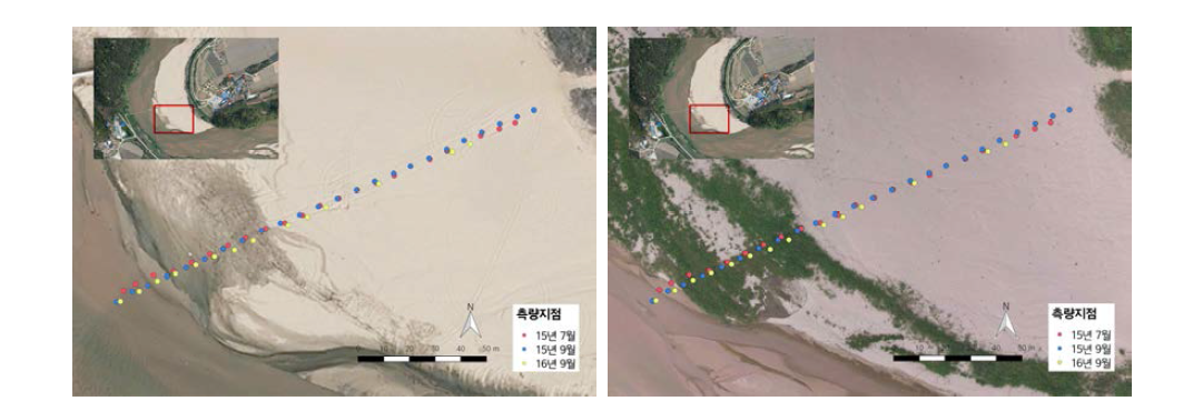 식생 단면 조사지역(2013년 항공사진(상) 2016년 항공사진(하))