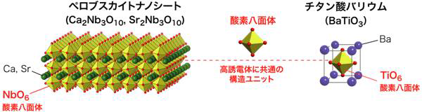 페로브스카이트 나노시트(Ca2Nb3O10, Sr2Nb3O10)와 티탄산바륨(BaTiO3)의 결정구조 단위 유닛 비교
