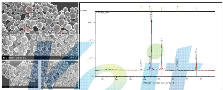 400nm급 Ni 원재료 SEM 및 XRD pattern