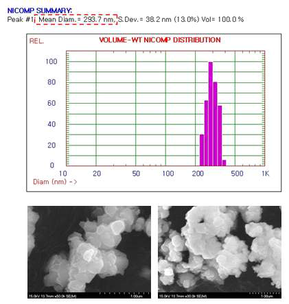 SiO2로 코팅된 Ni powder와 BaTiO3 compound 입도 분석 및 SEM (열처리 후)