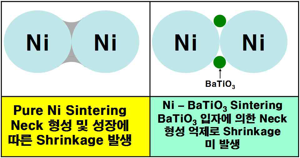 내부전극용 Nano Ni 분말의 소결지연을 위한 BaTiO3 첨가 효과