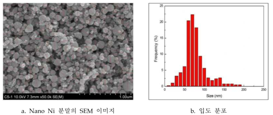 분급된 Ni 분말의 SEM 이미지 및 입도 분포