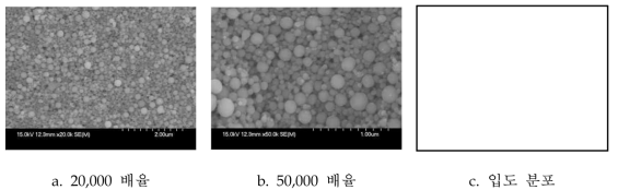 최종 Field Test용 Sample의 SEM 이미지 및 입도 분포