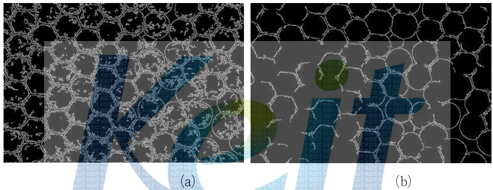 Canny 에지 적용 결과 (a)(low,high)=(30,90) (b) (low,high)=(50,150)