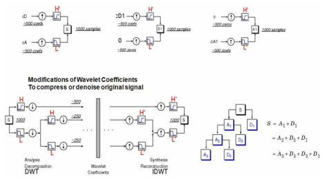 신호 재현시 Wavelet계수 조정에 의한 잡음제거