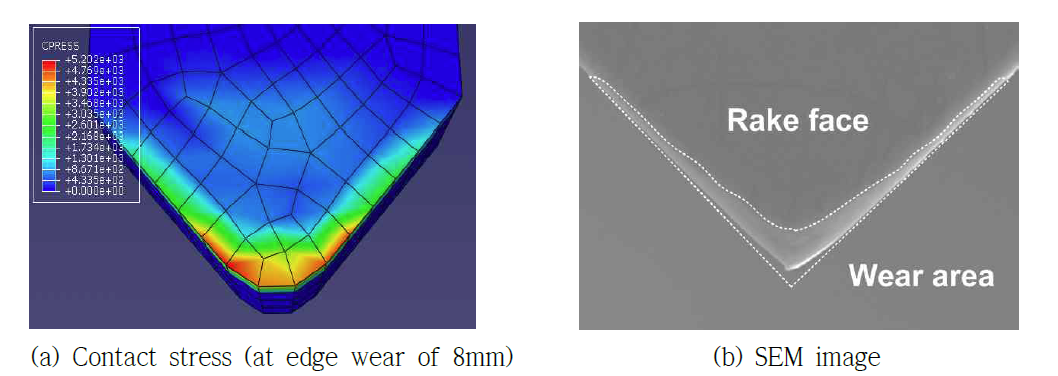 contact stress 영역과 마모 영역의 비교