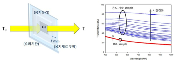 온도에 따른 Ca투과도 변화 측정