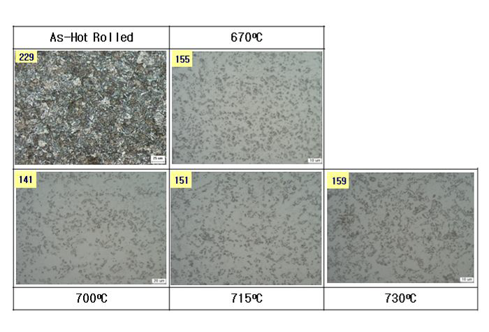 POS10B35의 열연판과 구상화 어닐링재의 광학현미경 조직과 Hv경도