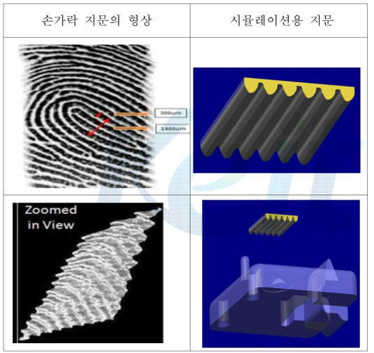 Light Tool 시뮬레이션용으로 제작한 실측 size의 지문 형상