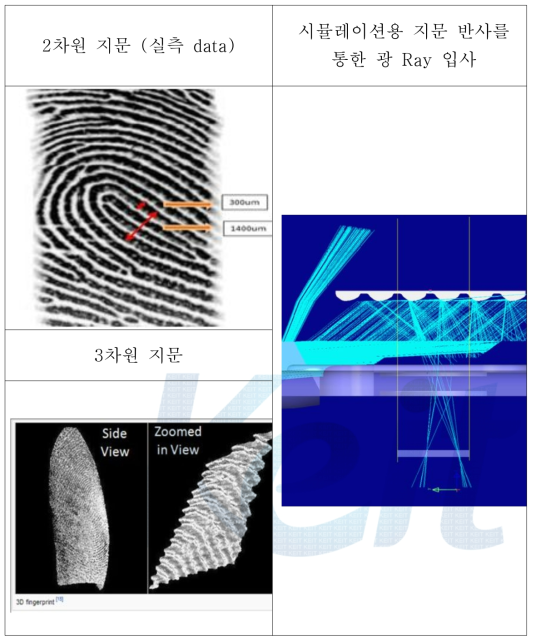 3차년도 시뮬레이션 분석방법에 적용된 Light Tool용 3D 지문 형상